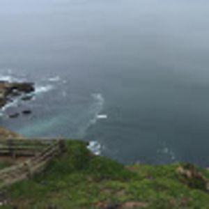 Meet your Posher, Elise